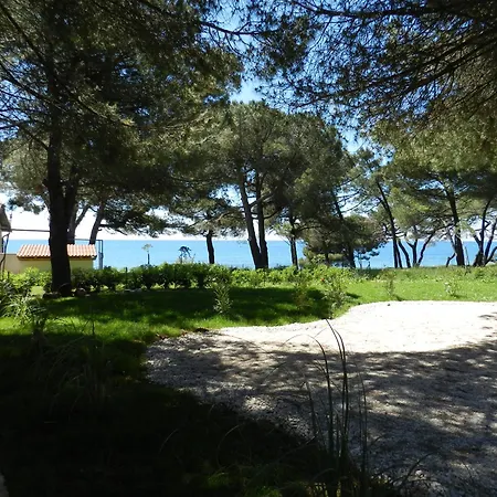 Erica Lux Novigrad Istria