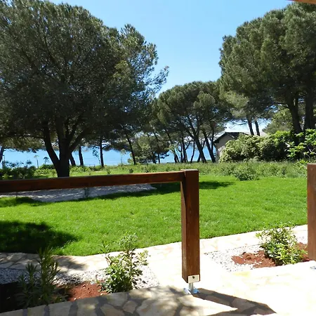 Apartman Erica Lux *