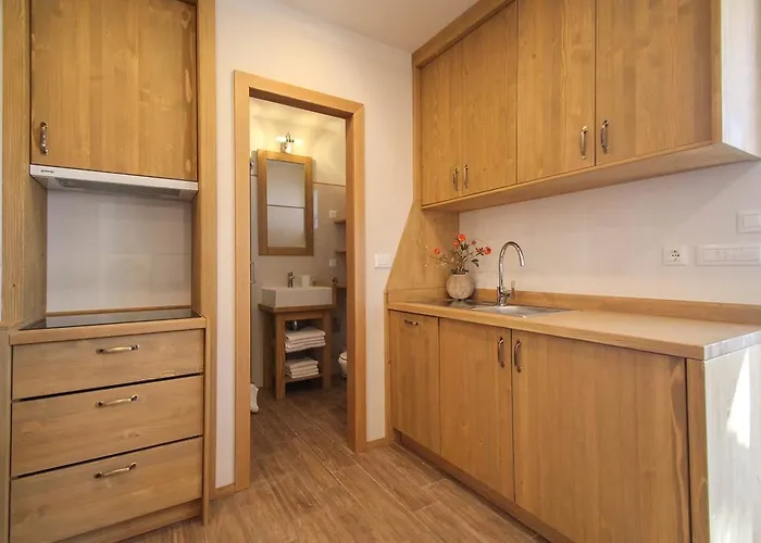 Erica Lux Apartmán Novigrad Istria